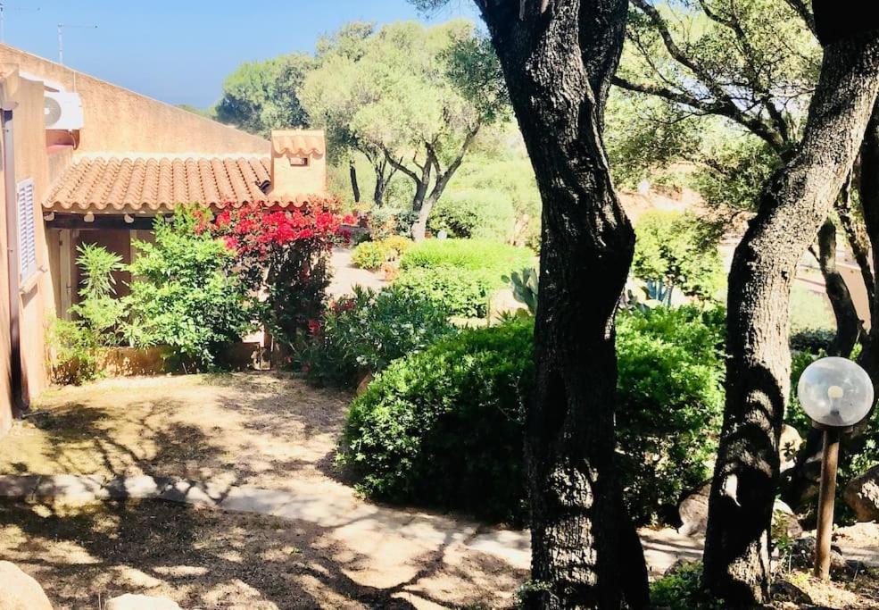 Villa Acqua&Sale Casa Stazzo Palau Esterno foto